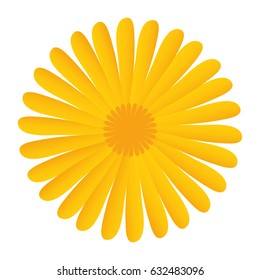 beautiful flowers design