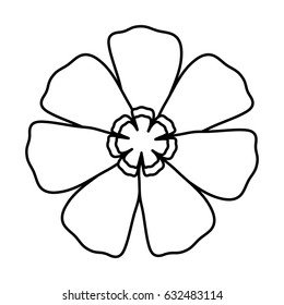 beautiful flowers design