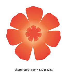 beautiful flowers design