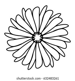 beautiful flowers design
