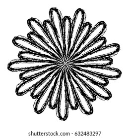 beautiful flowers design