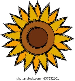 beautiful flowers design