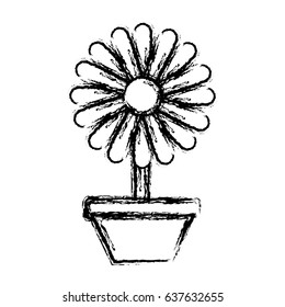 beautiful flowers design