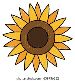 beautiful flowers design