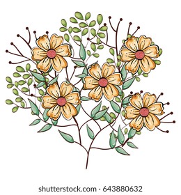 Beautiful flowers design
