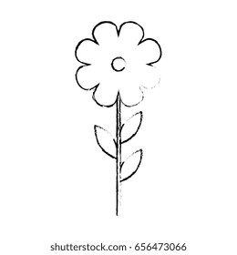 beautiful flowers design 