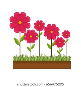 beautiful flowers design 
