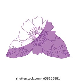 beautiful flowers design 