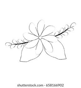 beautiful flowers design 