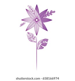 beautiful flowers design 