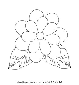 beautiful flowers design 
