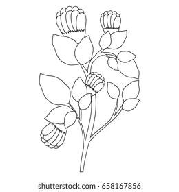 beautiful flowers design 
