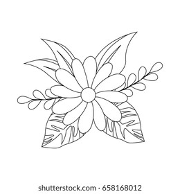 beautiful flowers design 