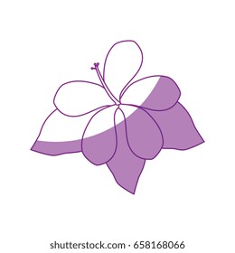 beautiful flowers design 
