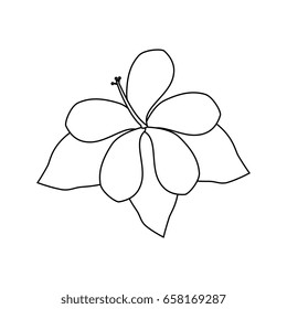 beautiful flowers design 