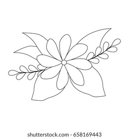 beautiful flowers design 