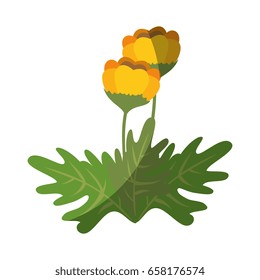 beautiful flowers design
