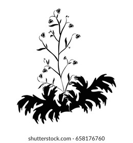 beautiful flowers design