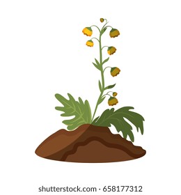 beautiful flowers design