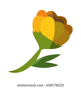 beautiful flowers design