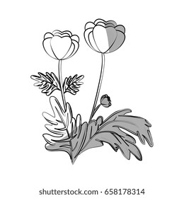 beautiful flowers design