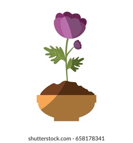 beautiful flowers design