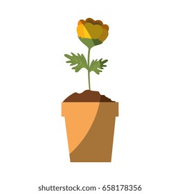 beautiful flowers design