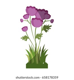 beautiful flowers design