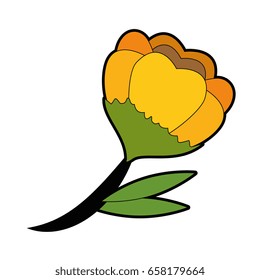 beautiful flowers design