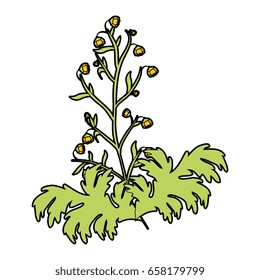 beautiful flowers design