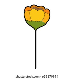 beautiful flowers design