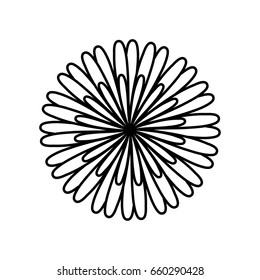 beautiful flowers design