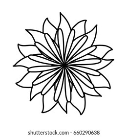 beautiful flowers design