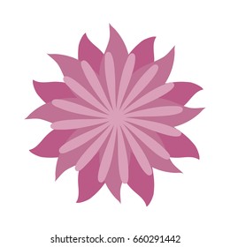 beautiful flowers design