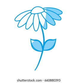 beautiful flowers design