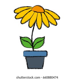 beautiful flowers design