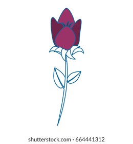 beautiful flowers design