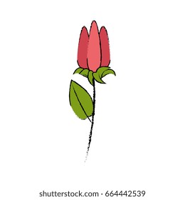 beautiful flowers design