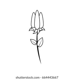 beautiful flowers design