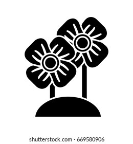 beautiful flowers design
