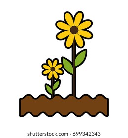 beautiful flowers design