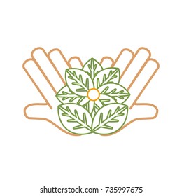 beautiful flowers design