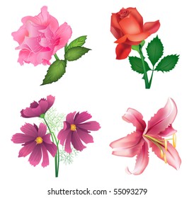 Beautiful flowers for design - roses, lily and cosmos