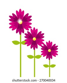 beautiful flowers design, vector illustration eps10 graphic 