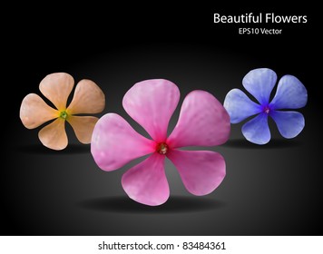 Beautiful Flowers - EPS 10 Vector
