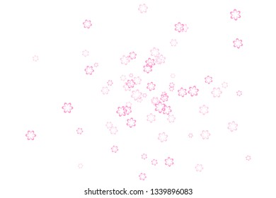 Beautiful flowers falling on white background. Background design, greeting card. Spring