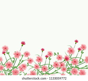Beautiful flowers frame