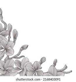 beautiful flowers framing for layout design template
