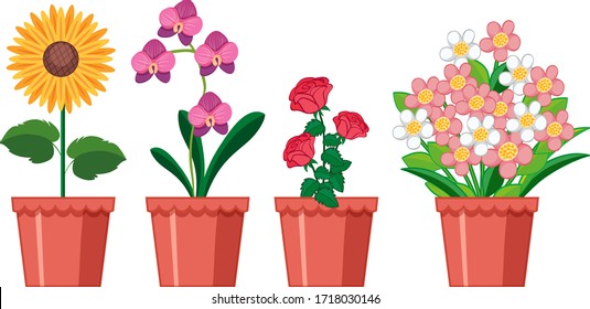 Beautiful flowers in the garden on white background illustration