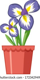 Beautiful flowers in the garden on white background illustration